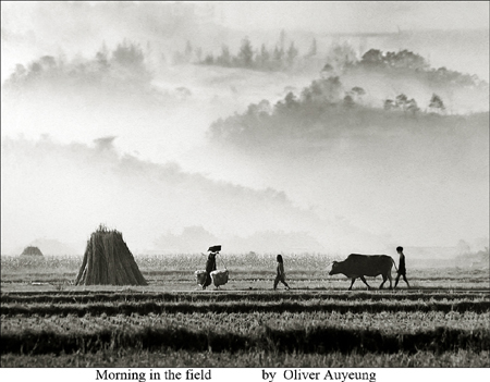 "Morning in the field" - Photo by Oliver Auyeung