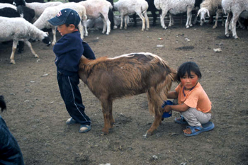Picture of children with goats