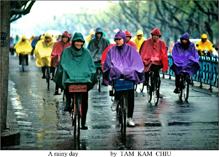 "A rainy day"  - Photo by Tam Kam Chiu